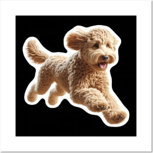 Australian Labradoodle Posters and Art